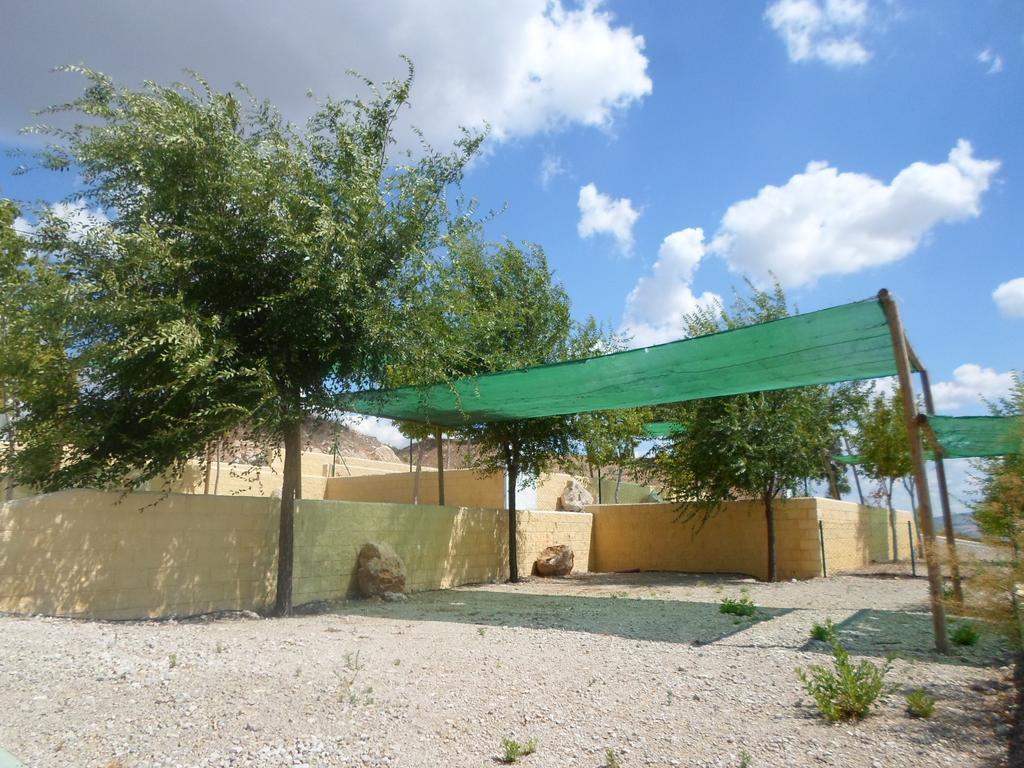 Отель Complejo Pueblo Blanco Ольвера Экстерьер фото