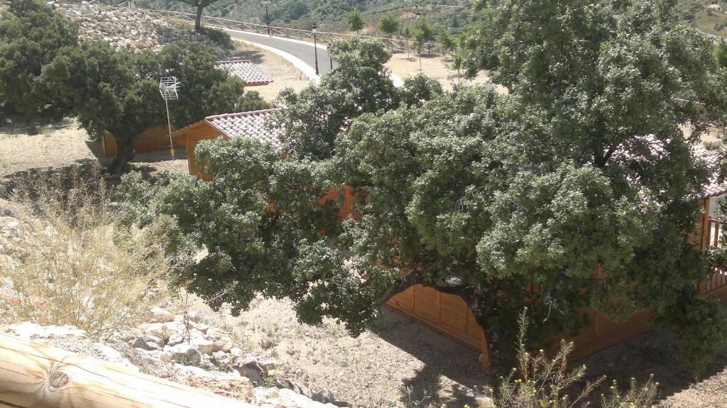 Отель Complejo Pueblo Blanco Ольвера Номер фото